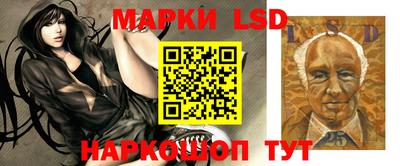 марки nbome Гусев
