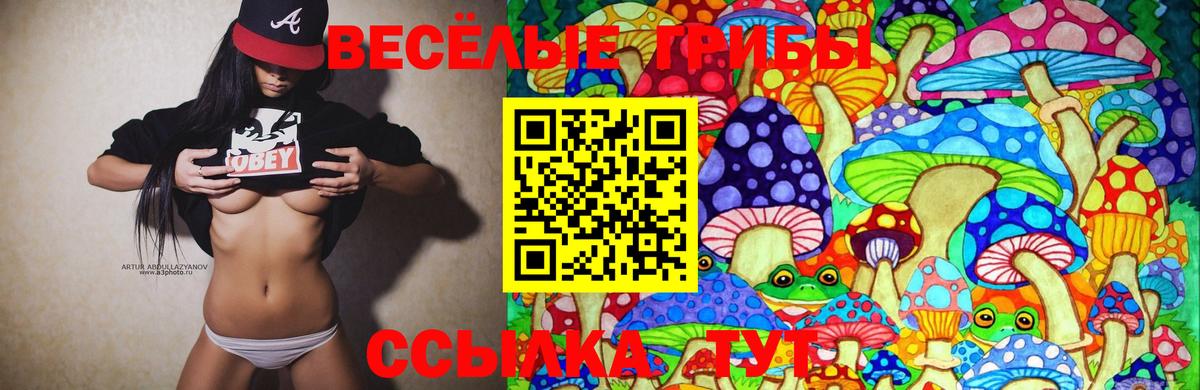 Галлюциногенные грибы Magic Shrooms Мурманск